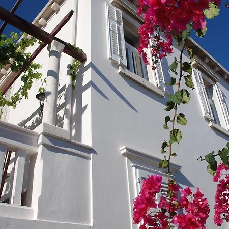 Villa Antipodes